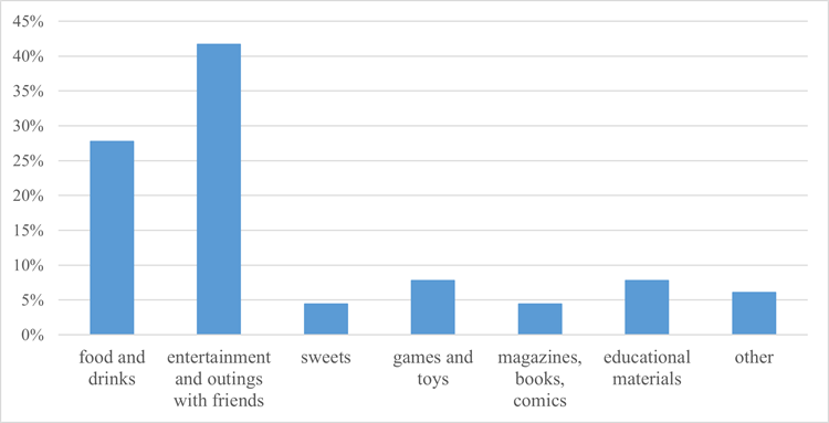 Figure 4. What did you most often spend your pocket money on?